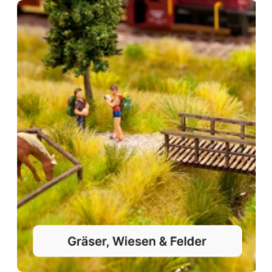 Gräser, Wiesen & Felder