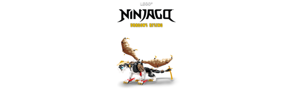 LEGO&reg; NINJAGO&reg; &ndash; Ninja-Abenteuer,...