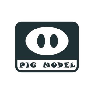 PIG MODEL