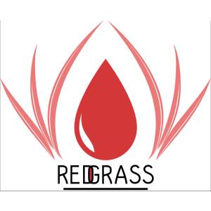 RedgrassGames
