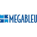  Unternehmensgeschichte 
 Megableu wurde 1994...