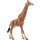 Schleich 14749 Giraffenbulle - WILD LIFE