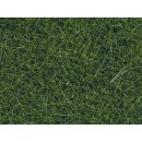 NOCH ( 07099 ) Wildgras XL, dunkelgrün, 12 mm 0,H0