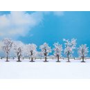 NOCH ( 25075 ) Winterbäume, 7 Stück, 8 - 10 cm hoch H0,TT,N,Z