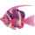 Goliath (326750) Wimplefish pink