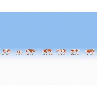 NOCH ( 44251 ) Kühe, braun-weiß Z