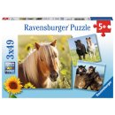 Ravensburger 08011 Liebe Pferde 3 X 49 Teile