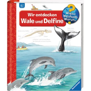 Ravensburger 32775 Wieso? Weshalb? Warum?, Band 41: Wir entdecken Wale und Delfine