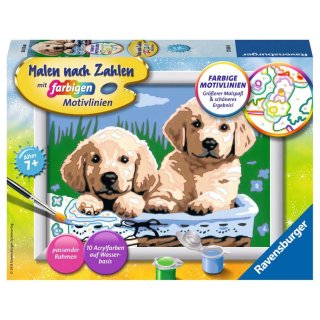 Ravensburger Malen nach Zahlen Serie E - 27839 Süße Hundewelpen