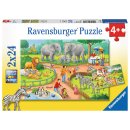 Ravensburger 07813 Ein Tag im Zoo 2x24 Teile Puzzle