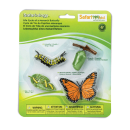 Safari S622616 Lebenszyklus eines Monarchfalters (Set)