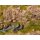 NOCH 61159 - Patina-Marker für die Landschaft Inhalt: 6 Marker G,0,H0,H0E,H0M,TT,N,Z