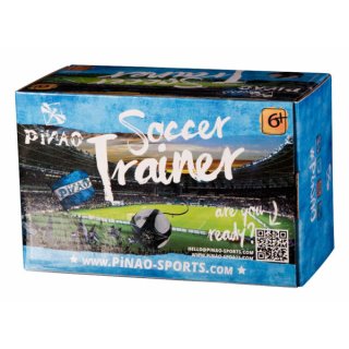PiNAO 38217 - PIN Fußball-Trainer