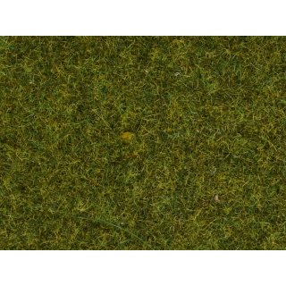 NOCH 07117 - Wildgras "Wiese" 9 mm, 50 g 0,H0,TT