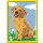 Ravensburger Malen nach Zahlen Serie F 28511 - Kleiner Golden Retriever