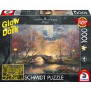 Schmidt Spiele 59496 Glow in The Dark Central Park im...