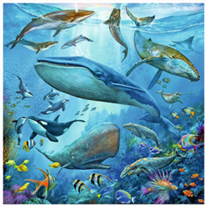Ravensburger 5149 Ocean Wildlife - 3 x 49 pieces