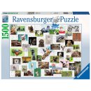 Ravensburger 1500 Teile - 16711 Funny Animals Collage