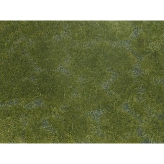 NOCH 7252 - Bodendecker-Foliage dunkelgrün G,1,0,H0,H0M,H0E,TT,N,Z