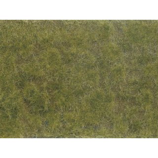 NOCH 7254 - Bodendecker-Foliage grün/braun G,1,0,H0,H0M,H0E,TT,N,Z