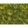 NOCH 7255 - Bodendecker-Foliage Wiese gelb G,1,0,H0,H0M,H0E,TT,N,Z
