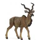 PAPO 50104 - Kudu-Antilope