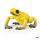 PAPO 50174 - Gelber äquatorial Frosch