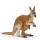 PAPO 50188 - Känguru mit Baby