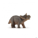 PAPO 55036 - Junger Triceratops