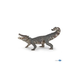 PAPO 55056 - Kaprosuchus