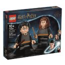 LEGO 76393 Harry Potter&trade; &amp; Hermine Granger&trade;