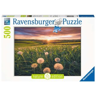 Ravensburger 16990 Puzzle 500 Teile  Pusteblumen im Sonnenuntergang