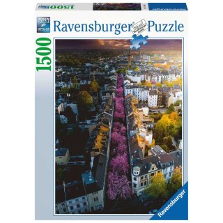 Ravensburger 17104 Puzzle 1500 Teile Blühendes Bonn