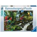 Ravensburger 17111 Puzzle  2000 Teile Bunte Papageien im...