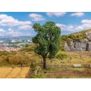 FALLER 181704 Akazie