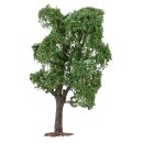 FALLER 181704 Akazie