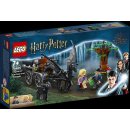 LEGO® 76400 Harry Potter™ Hogwarts™ Kutsche mit Thestralen