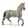 Schleich 13956 Cheval de Selle Francais Hengst - HORSE CLUB