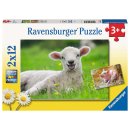 Ravensburger 05718 Unsere Bauernhoftiere - 2 x 12 Teile...