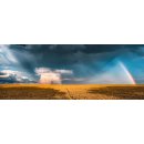 Ravensburger 17493 Mystisches Regenbogenwetter 1000 Teile...