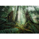 Ravensburger 17494 Faszinierender Wald 1000 Teile Puzzle