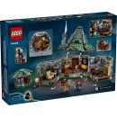LEGO® 76428 Harry Potter™ Hagrids Hütte: Ein unerwarteter Besuch