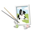 Ravensburger 23759 Malen nach Zahlen Border Collie Welpe