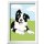 Ravensburger 23759 Malen nach Zahlen Border Collie Welpe