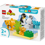 LEGO® 10442 DUPLO® Wildtier-Familien: Pinguine und Löwen