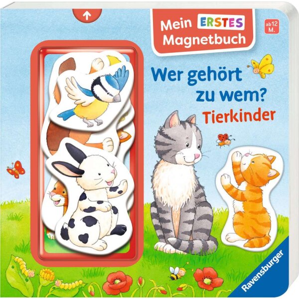 Ravensburger 42166