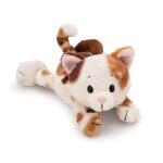 NICI 62142