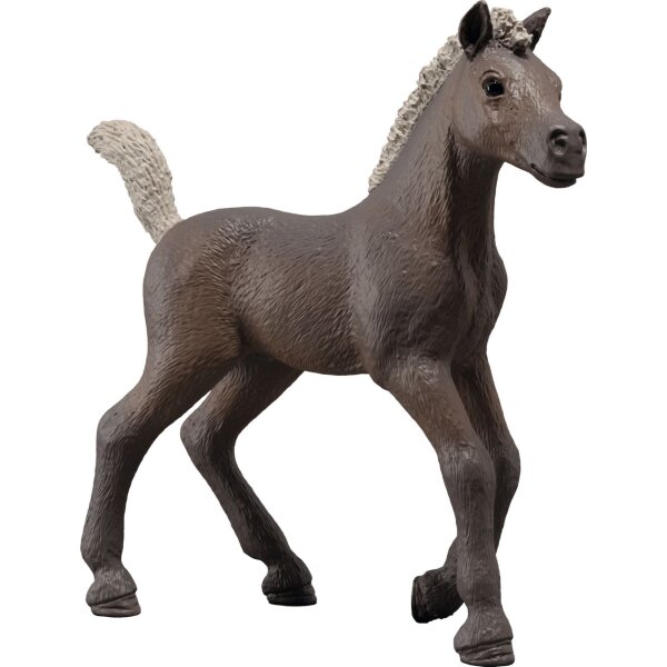 Schleich 81460 HORSE CLUB - Sammelfohlen Darcy
