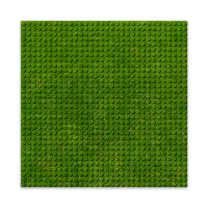 BRIXIES 225000 Bodenplatte 32 x 32 Rasen