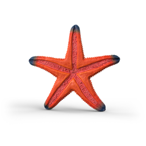 Schleich 14902 WILD LIFE - Starfish